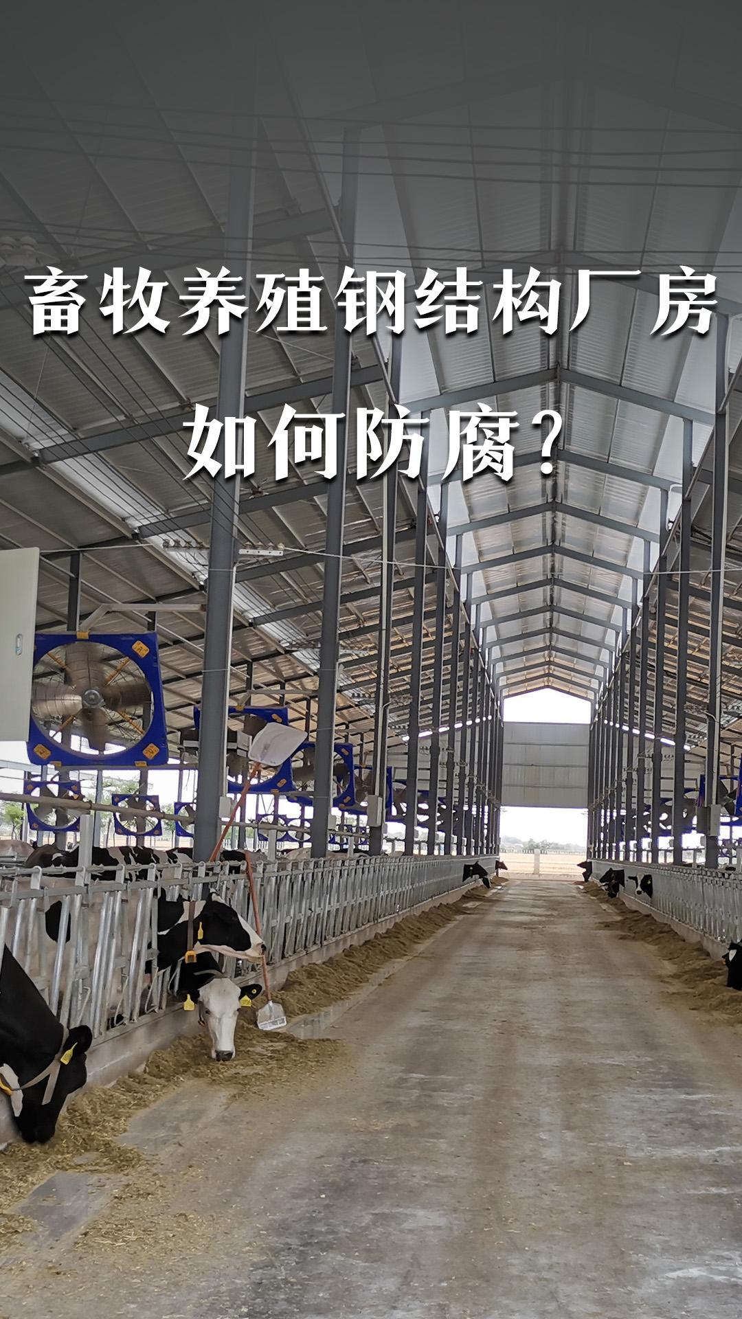 畜牧養(yǎng)殖鋼結(jié)構(gòu)廠房如何防腐？